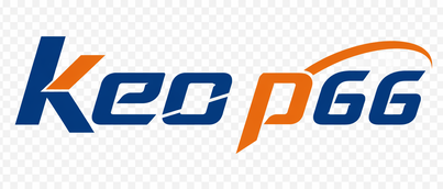 keo p66 logo
